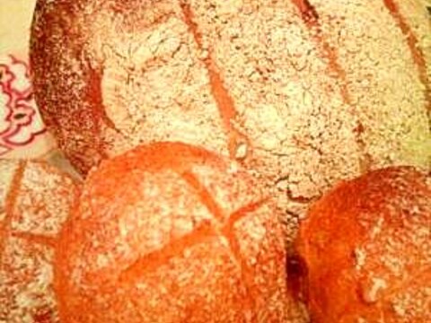 天然酵母　トマト＆マンゴーブレッド
